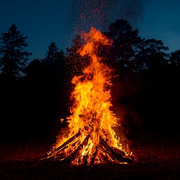 Bonfire Fragrance Oil
